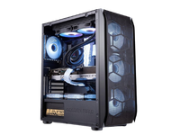 CASING SNOW GOLDENFIELD