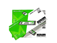 MEMORYGHOST 256GB M.2 BRANDNEW